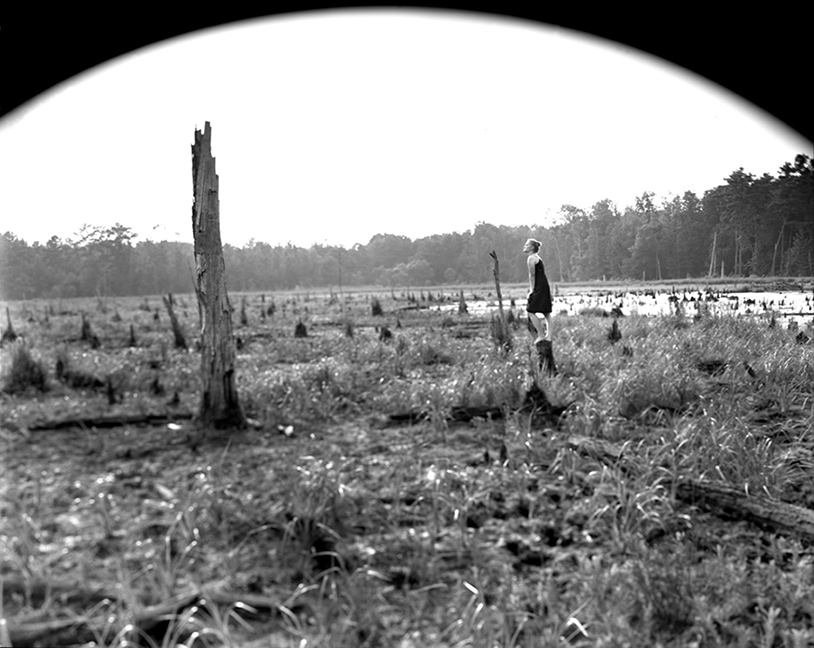 swamp1